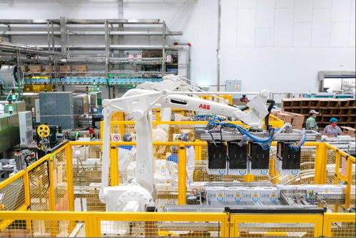 认养一头牛 以扎实养牛为起点,加速跑出数字化发展与责任担当