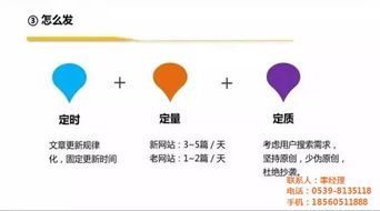 菏泽市网络公司与临沂新网网络 软件开发服务解析